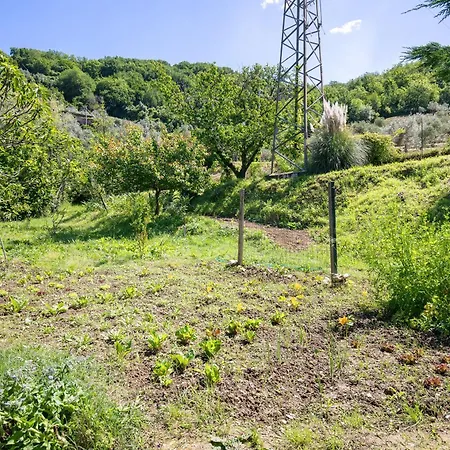 Bed & Breakfast Alchimista Bb Borgo Marciano Castelnuovo Magra
