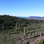 Alchimista Bb Borgo Marciano Castelnuovo Magra