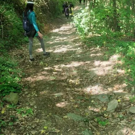 Oda ve Kahvaltı Alchimista Bb Borgo Marciano Castelnuovo Magra