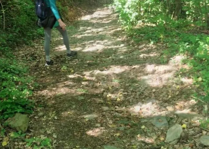 Bed & Breakfast Alchimista Bb Borgo Marciano Castelnuovo Magra