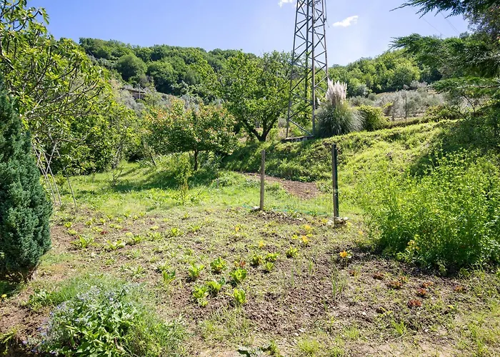 Alchimista Bb Borgo Marciano Bed & Breakfast Castelnuovo Magra