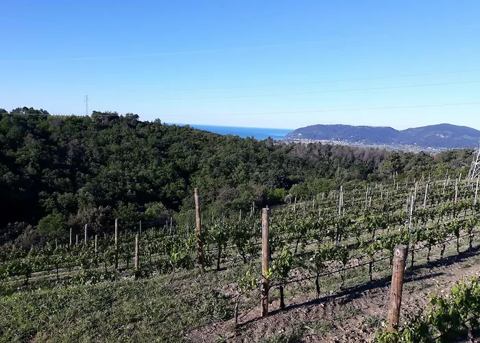 Alchimista Bb Borgo Marciano Castelnuovo Magra